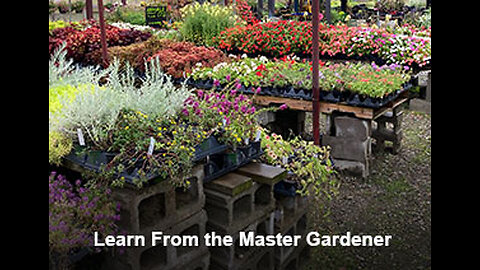 PFTTOT Part 436 Learn From the Master Gardener