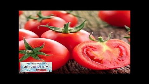 Tomato Sub Arctic Plenty (Early) (Determinate) – Seeds Review