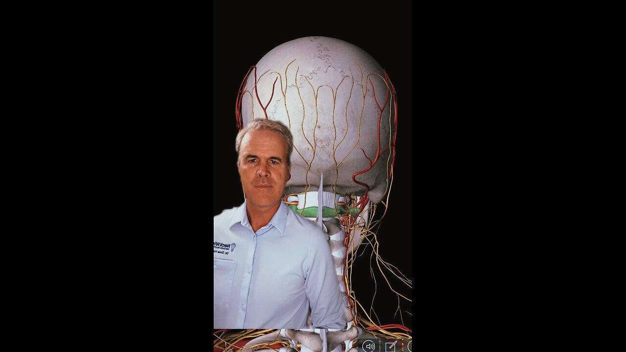 Natural relief from tics and Tourette syndrome | Neckwise Upper Cervical