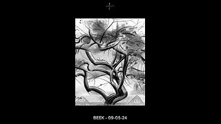 Beek – 09-05-24