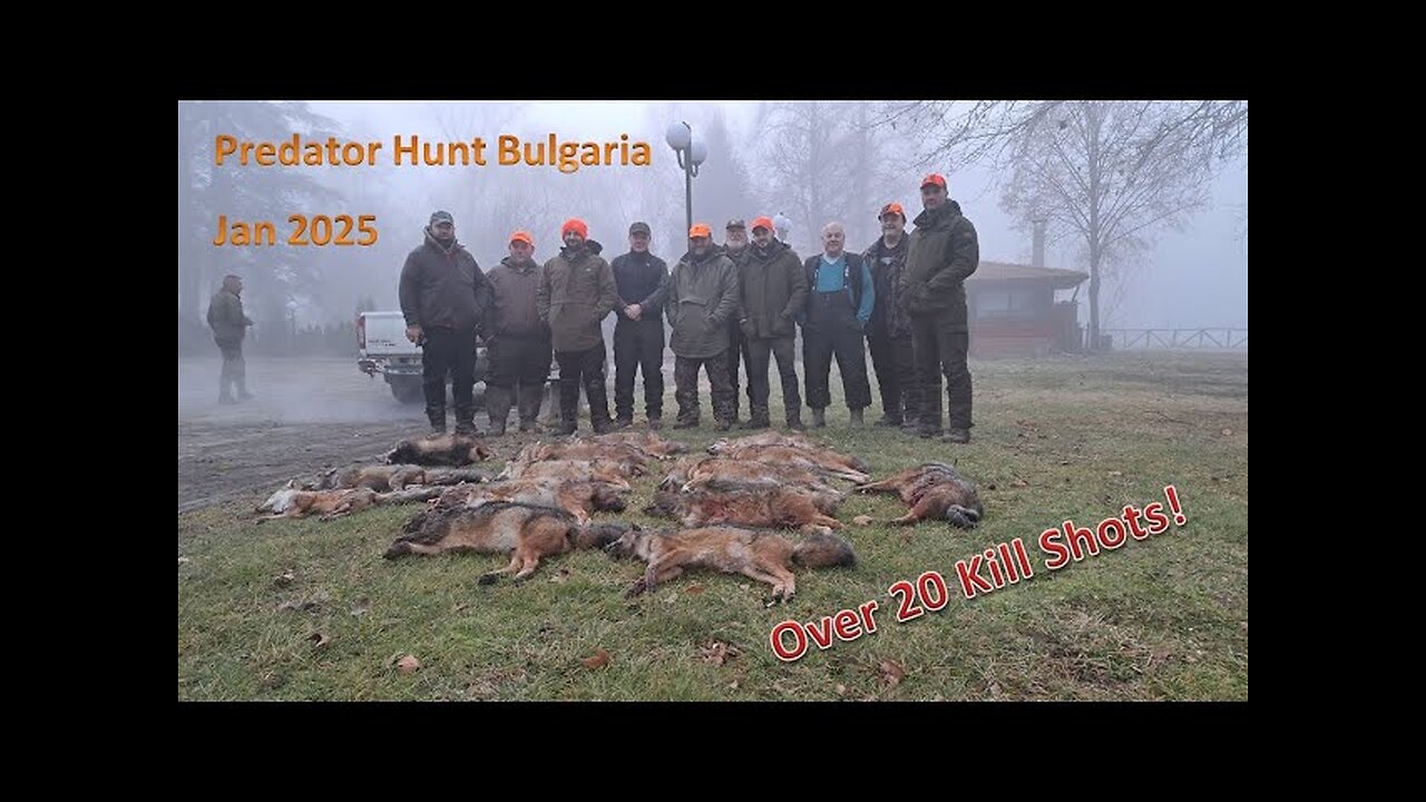 20 Kill Shots Day and Night Predator Hunting in Bulgaria for Wolf Jackal Fox Badger