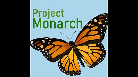 Park chit chat part 1 - Dec 10th 2025 -