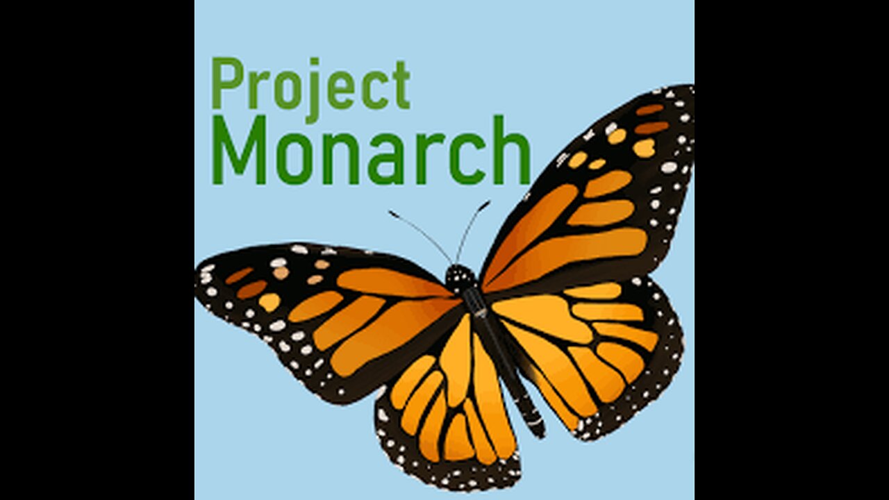 Park chit chat part 1 - Dec 10th 2025 -