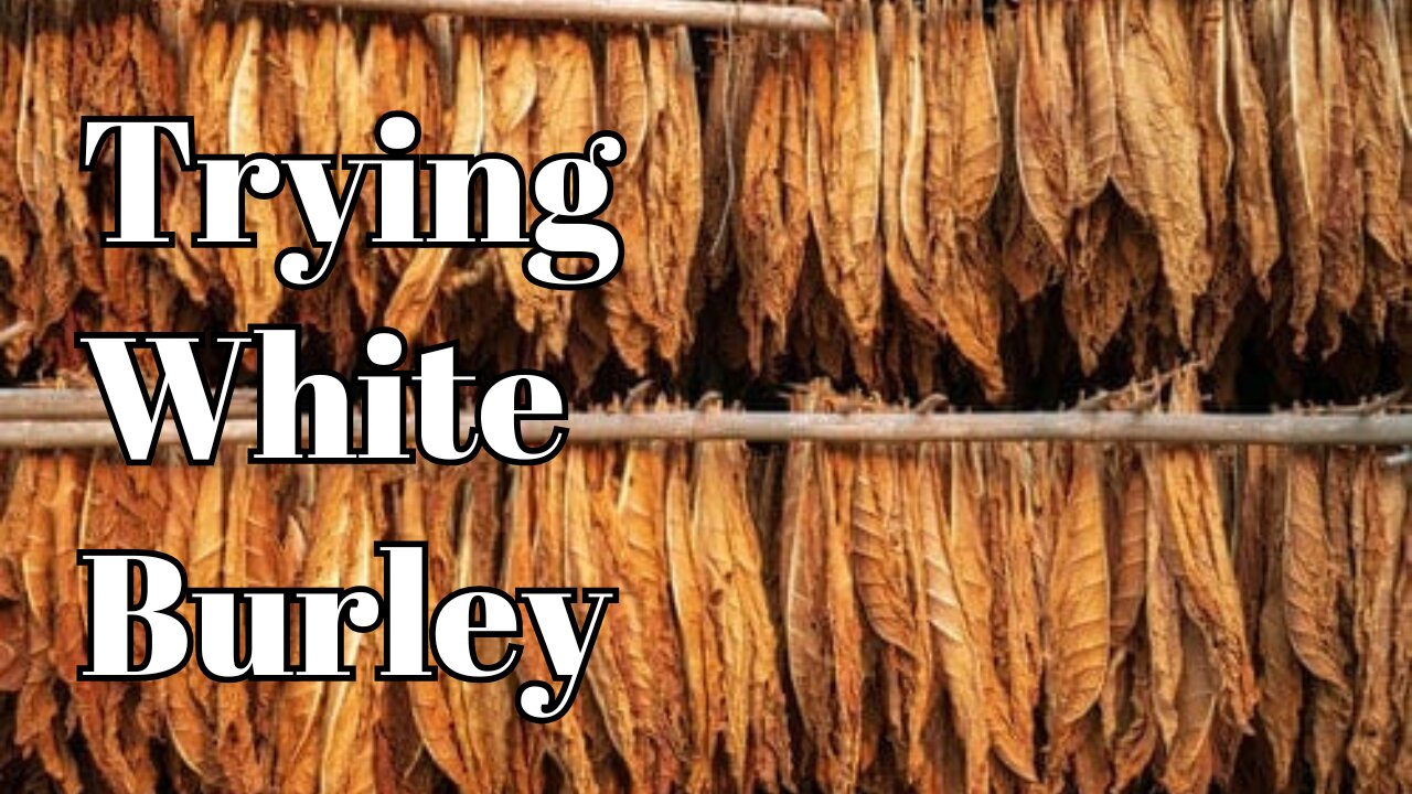 Trying White Burley For The First Time