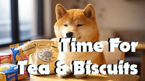 Paypal Scammer Didn't Even Show Me His Refund Form