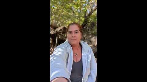 The truth about the Halloween Cat