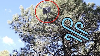 Will a Portable Flagpole Work for Starlink Mini?