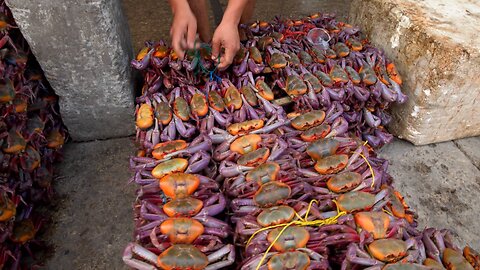 Un lugar donde hay más cangrejos que gente