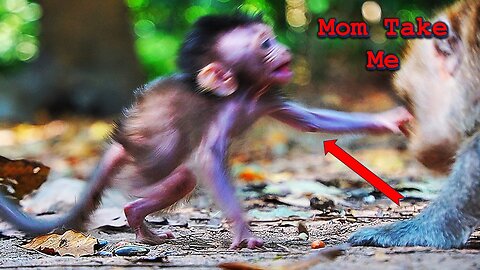 Looks Really Scared Baby BABETTE When Mom Walked Away
