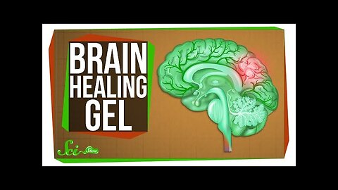 The New Gel That Regrows Brains