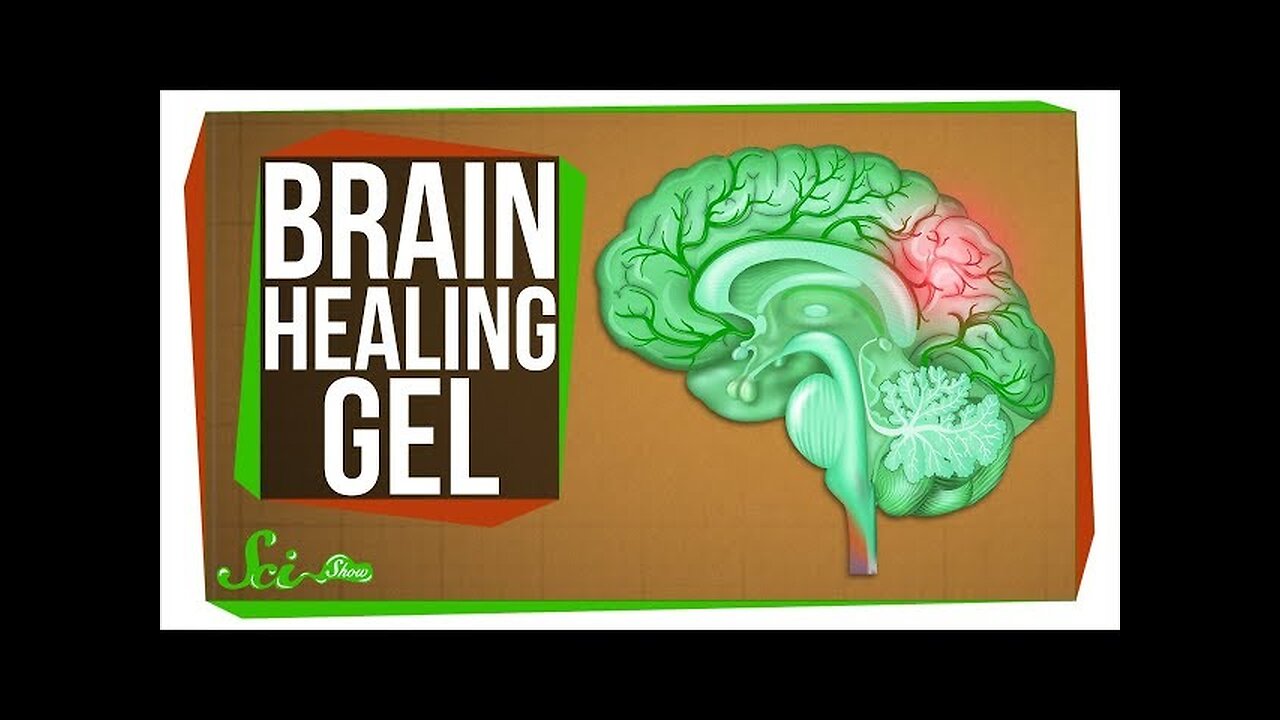 The New Gel That Regrows Brains