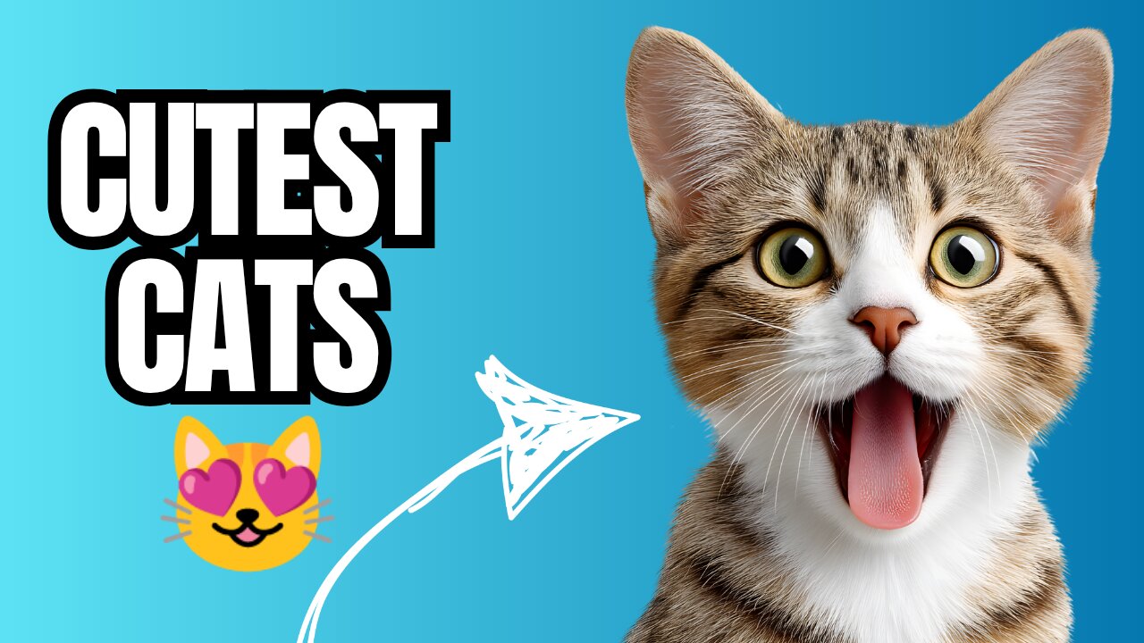 Funny & Cute Cats Doing Adorable Things!
