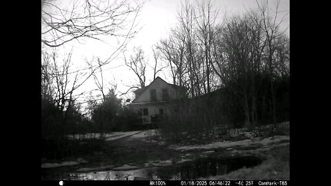 Deer Cam 01-18-2025 Something Messing With Camera