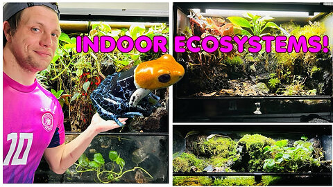 My Indoor Ecosystems!