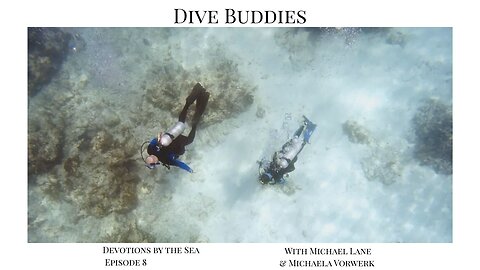 Devotions by the Sea: Dive Buddies