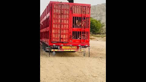 What a livestock trailer looks like 🐐