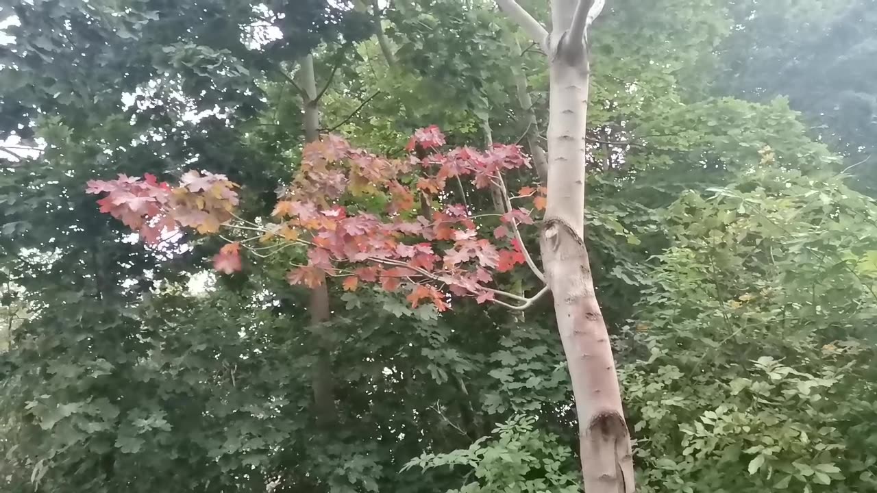 kiedy się tylko da ...