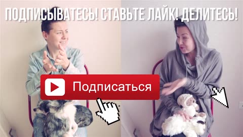 Cat Dog