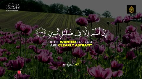 Surah Yaseen | Unlock Blessings, Mercy & Peace | Heart-Soothing Recitation | Sakeena Tul Quran