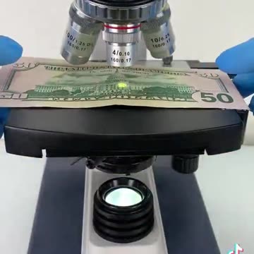 The hidden messages you'll find when looking at the dollar under a microscope. 🔬💵