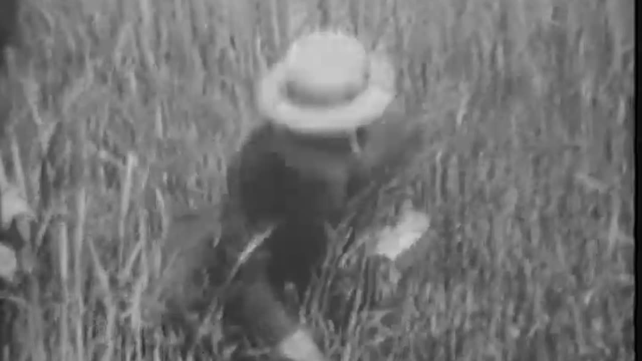 Current Occurrence (Tes... - Current Occurrence (Testing Electric Percolators) President - fc-fc-560