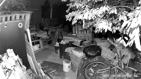 👻😱 You Won't Believe What They Captured! Pixie & Ghost in Backyard | TheHauntingHour