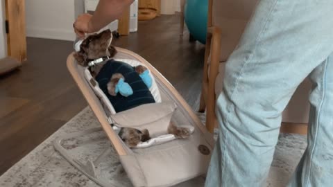 Dad Practices On Family's First Baby