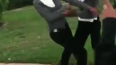 Twin Bitch Fight