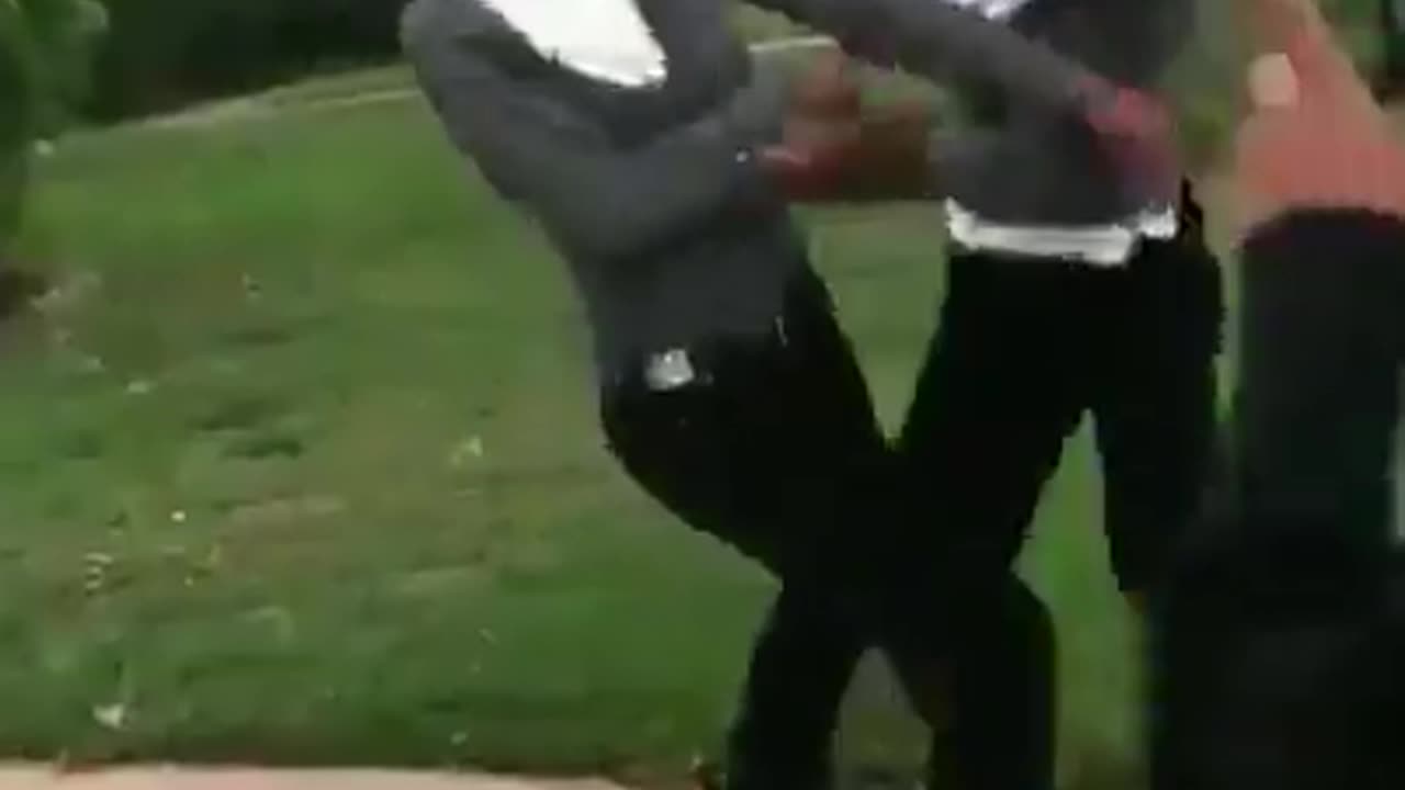 Twin Bitch Fight