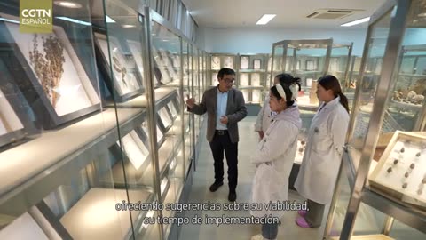 Decisión del pueblo, voz de los diputados