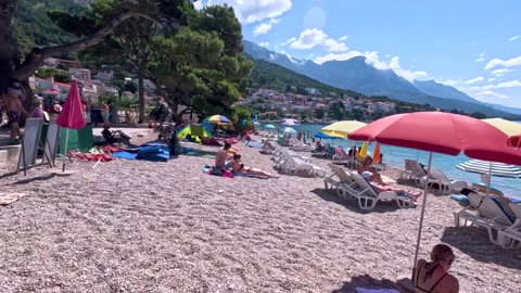 Overnight in a Cabin in the Wild, Avoid the Rain, Shower, and Cook/ Wild Beauty Returns