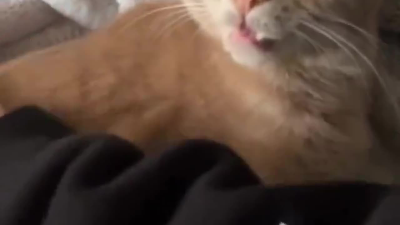 bro had 1% left in the battery 🔋