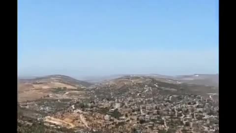 🌳😮 This Tree's Bizarre Shape Will Leave You Speechless! | FeedMyCuriosity