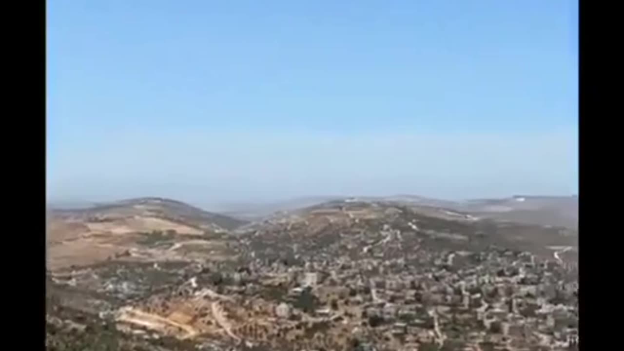 🌳😮 This Tree's Bizarre Shape Will Leave You Speechless! | FeedMyCuriosity