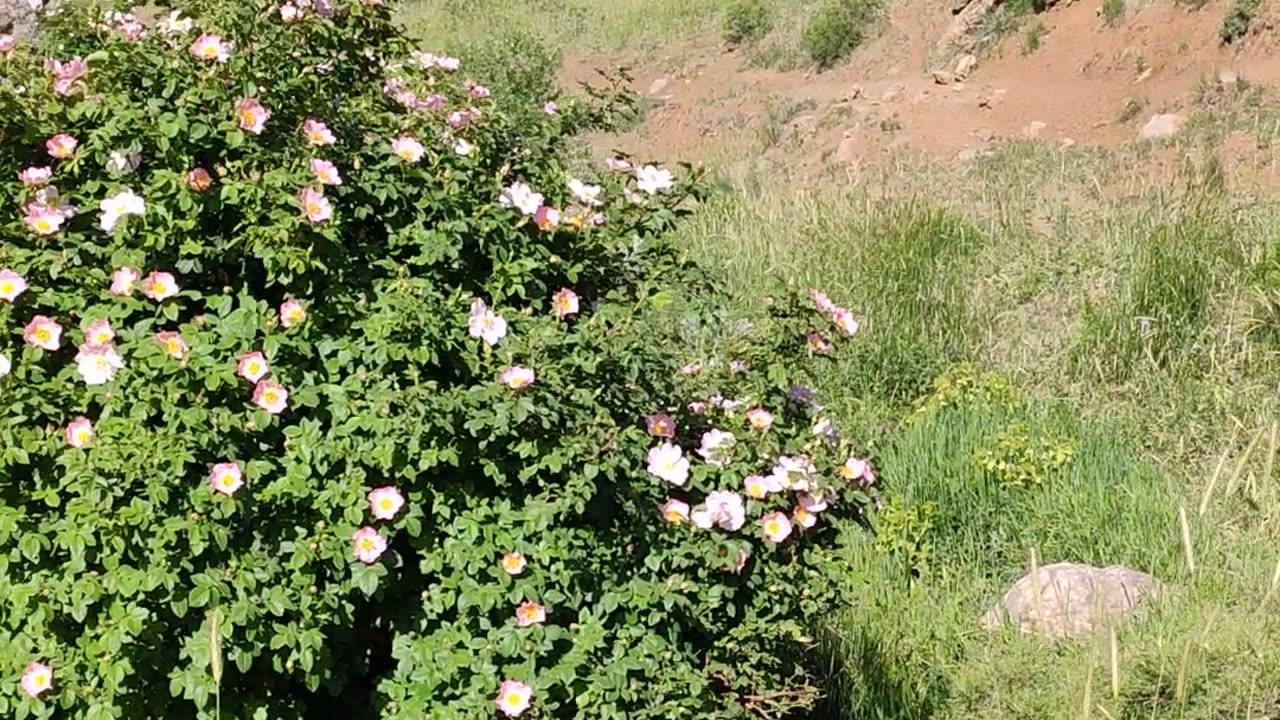 Iran Nature of Villages Unknown places in the whole World