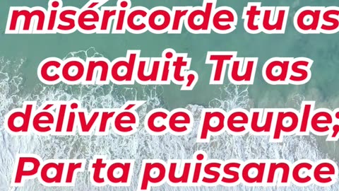 « Guidé par ton amour, conduit vers ta demeure » Exode 15:13.#shortvideo #shorts #youtubeshorts #yt