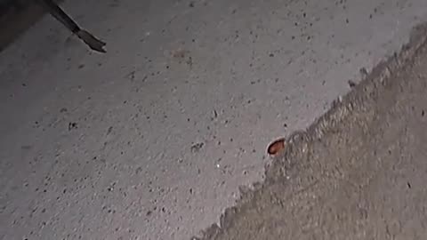 😨👻 Por Eso Ya No Comparto Cuarto Con Mi Abuelita Guey | TheHauntingHour