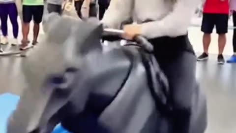 The horse riding exercise machine suddenly went out of control!