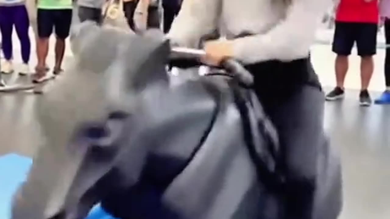 The horse riding exercise machine suddenly went out of control!