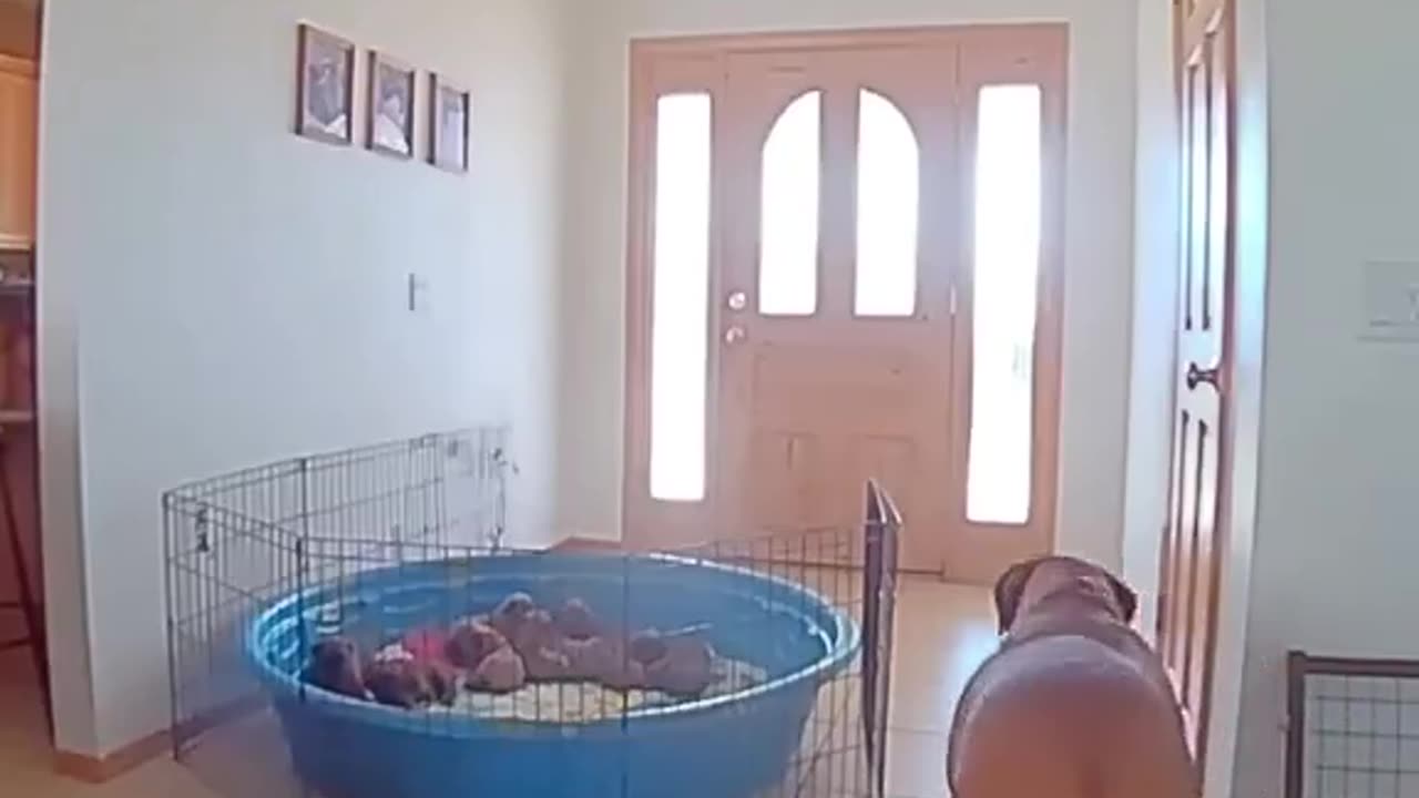 Woe Day 42. I am in the ark. Waiting for GOD to open the Door for a spring/summer Pentecost rapture