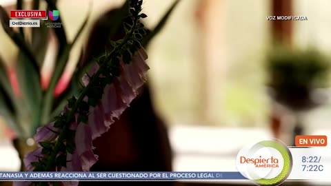 Jeffery Epstein’s New Friend is Julio Iglesias