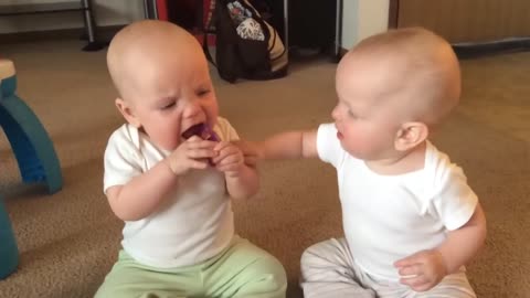 Twin babies fight over pacifier: “Double Trouble, The Twin Tussle”