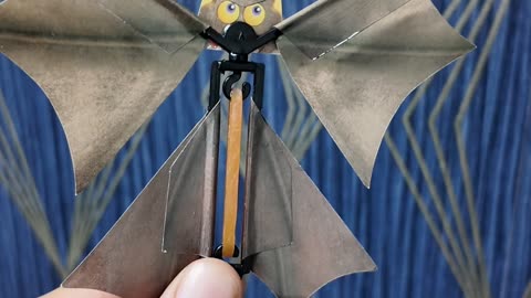 I Bought a Flying Paper Bat…
