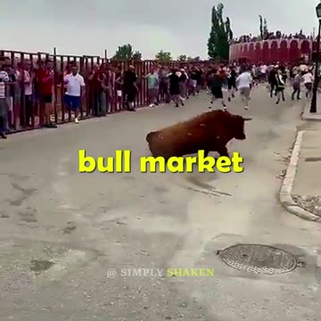 Crypto Bull Run 2025: Will You Get Rich? 🚀