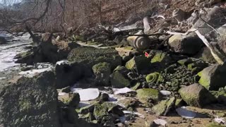 Jon Levi - American Ruins (Channel Showcase) David Wayne