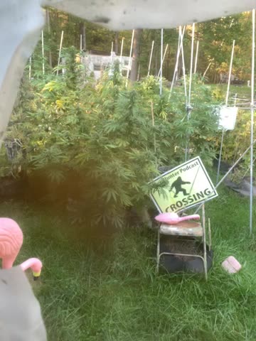 Derek Hunter WMAL 105.9 streaming worldwide