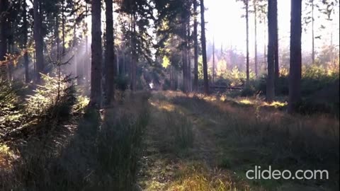 DANNY BROWN - THE END (VIDEO)