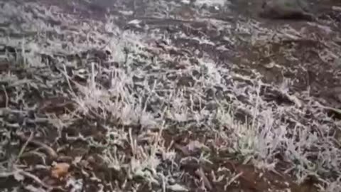 Ukraine war combat footage/related 1/10/26