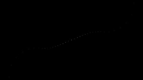 2. Raidbait Shifty Muscae