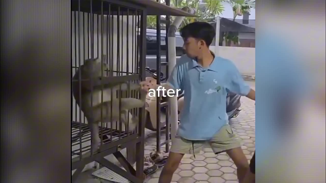 A True Man NEVER Underestimates His Opponent 😂